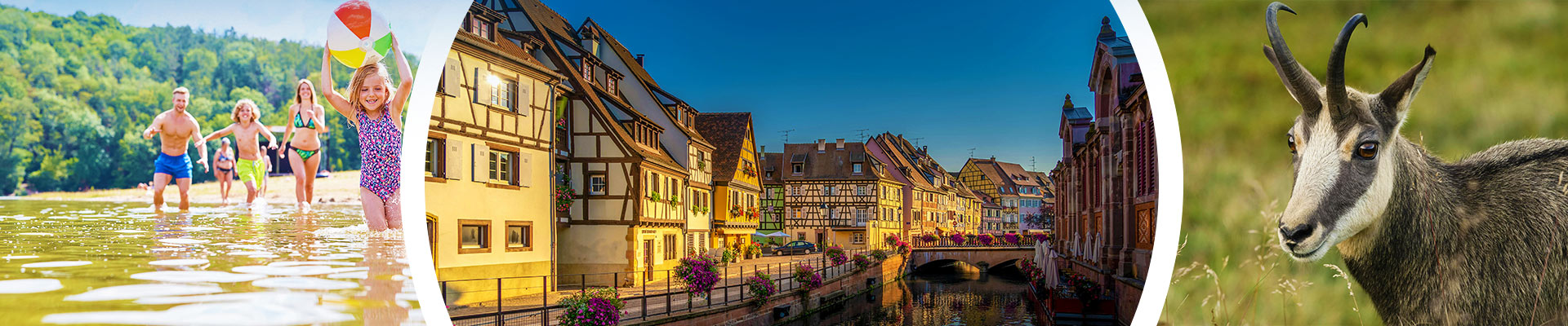 Camping Alsacia: unas vacaciones a un paso de Alemania