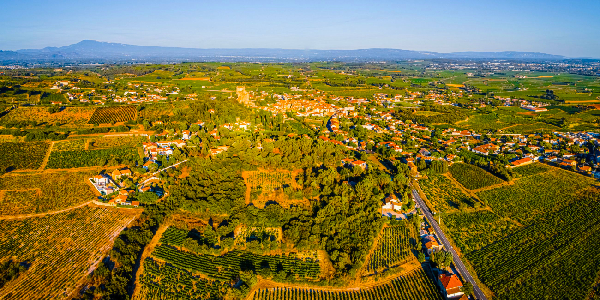 DESTINO VAUCLUSE