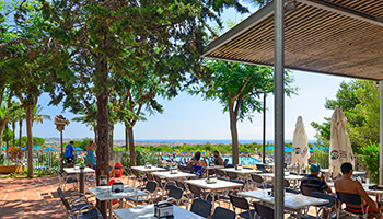 Servicios camping LE VILANOVA PARK